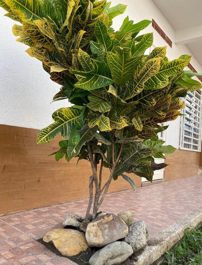 San Jorge Vvc Villavicencio